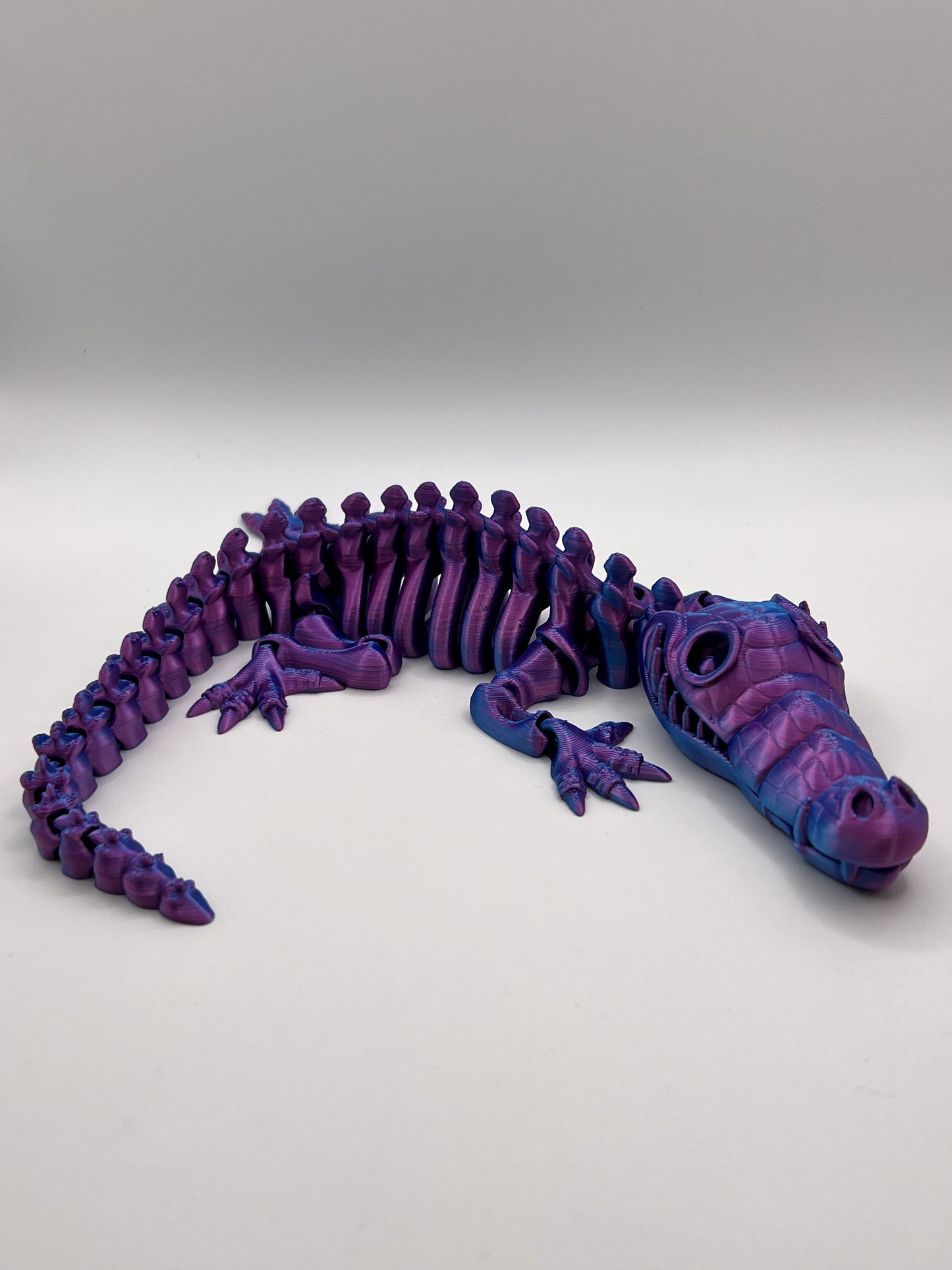 Skeleton Crocodile