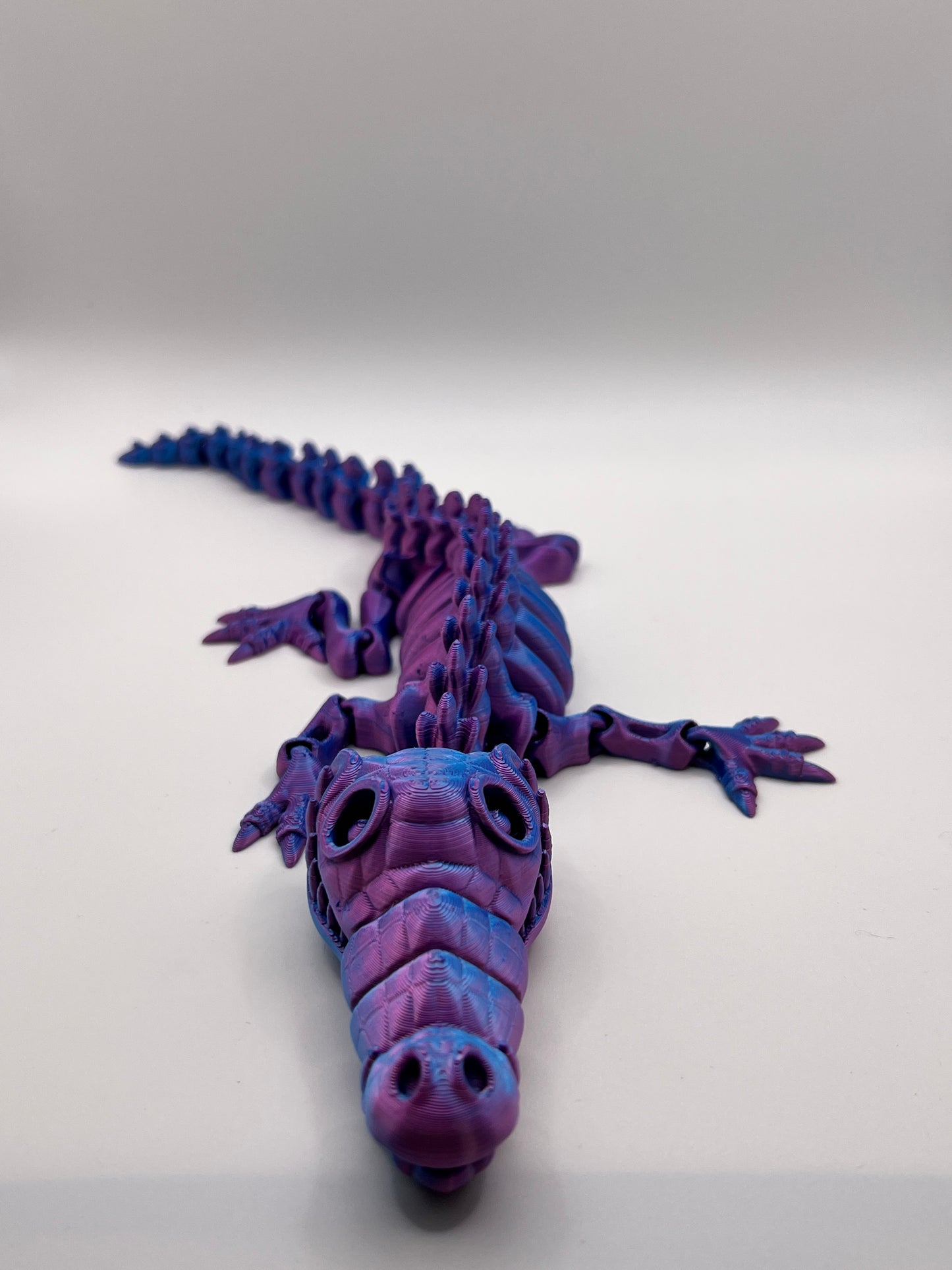 Skeleton Crocodile