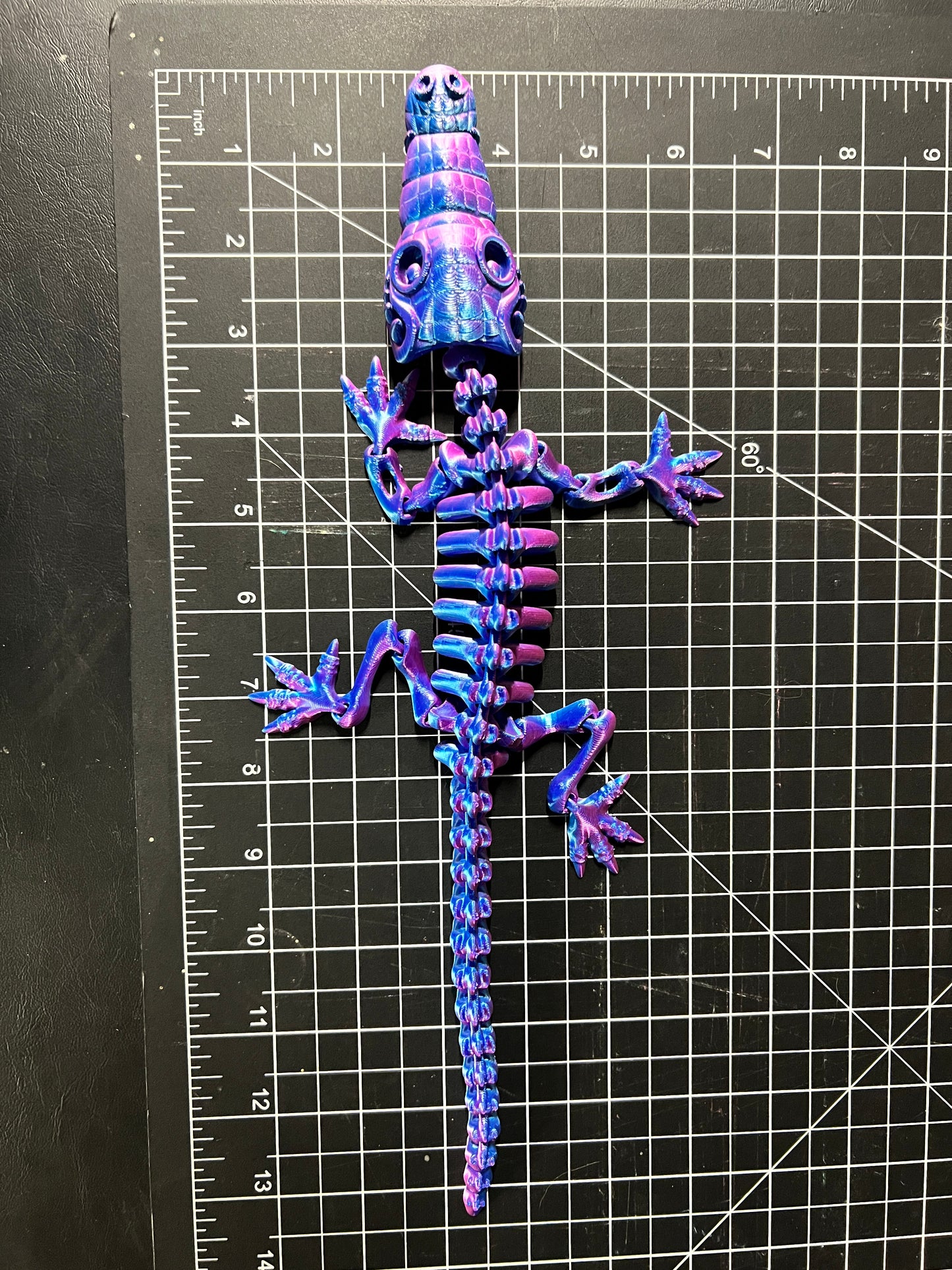 Skeleton Crocodile