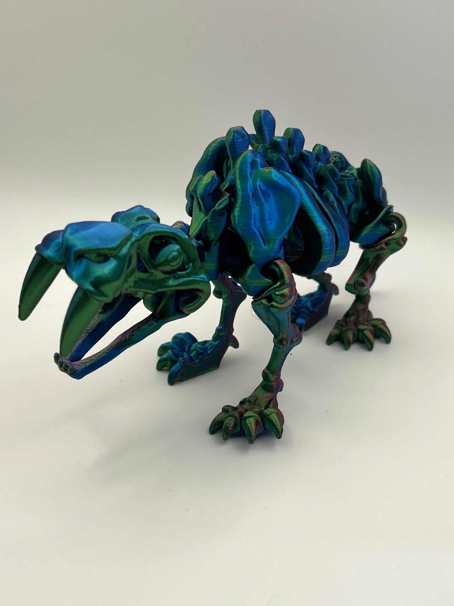Skeleton Sabertooth