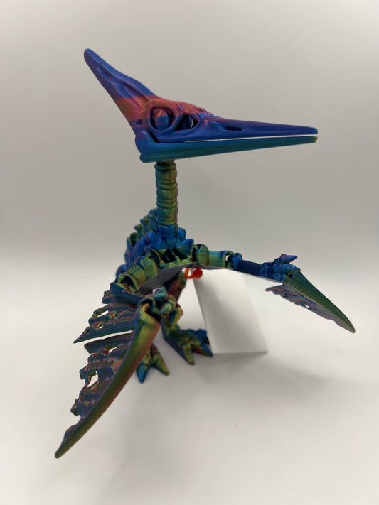 Skeleton Pteranodon