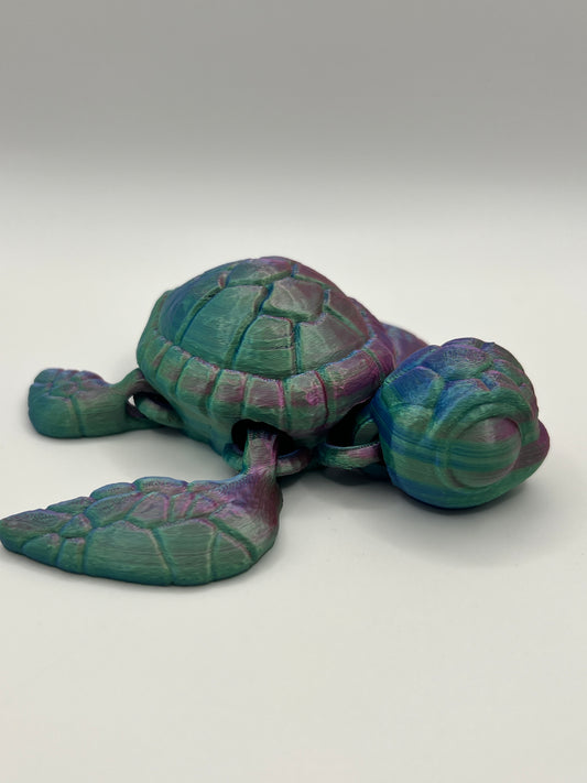 Sea Turtle