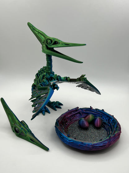 Skeleton Pteranodon