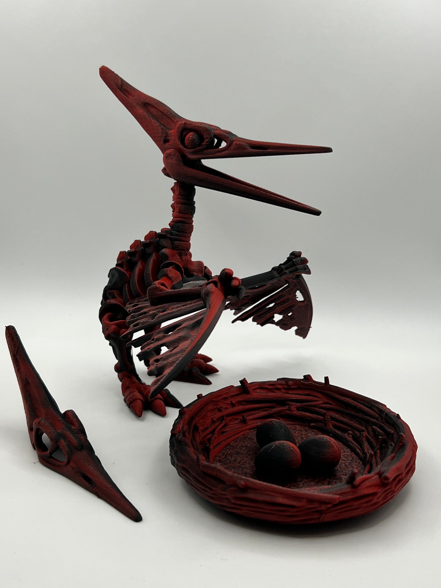 Skeleton Pteranodon