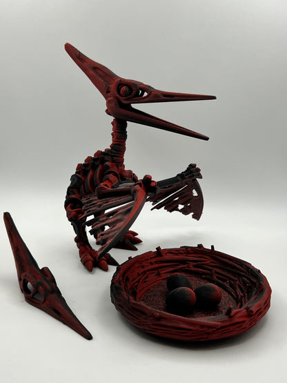 Skeleton Pteranodon
