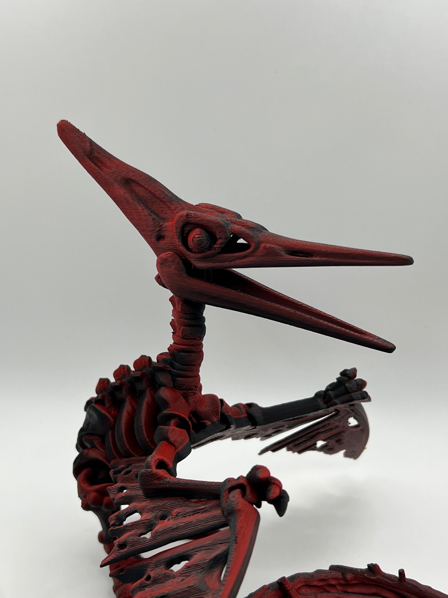 Skeleton Pteranodon