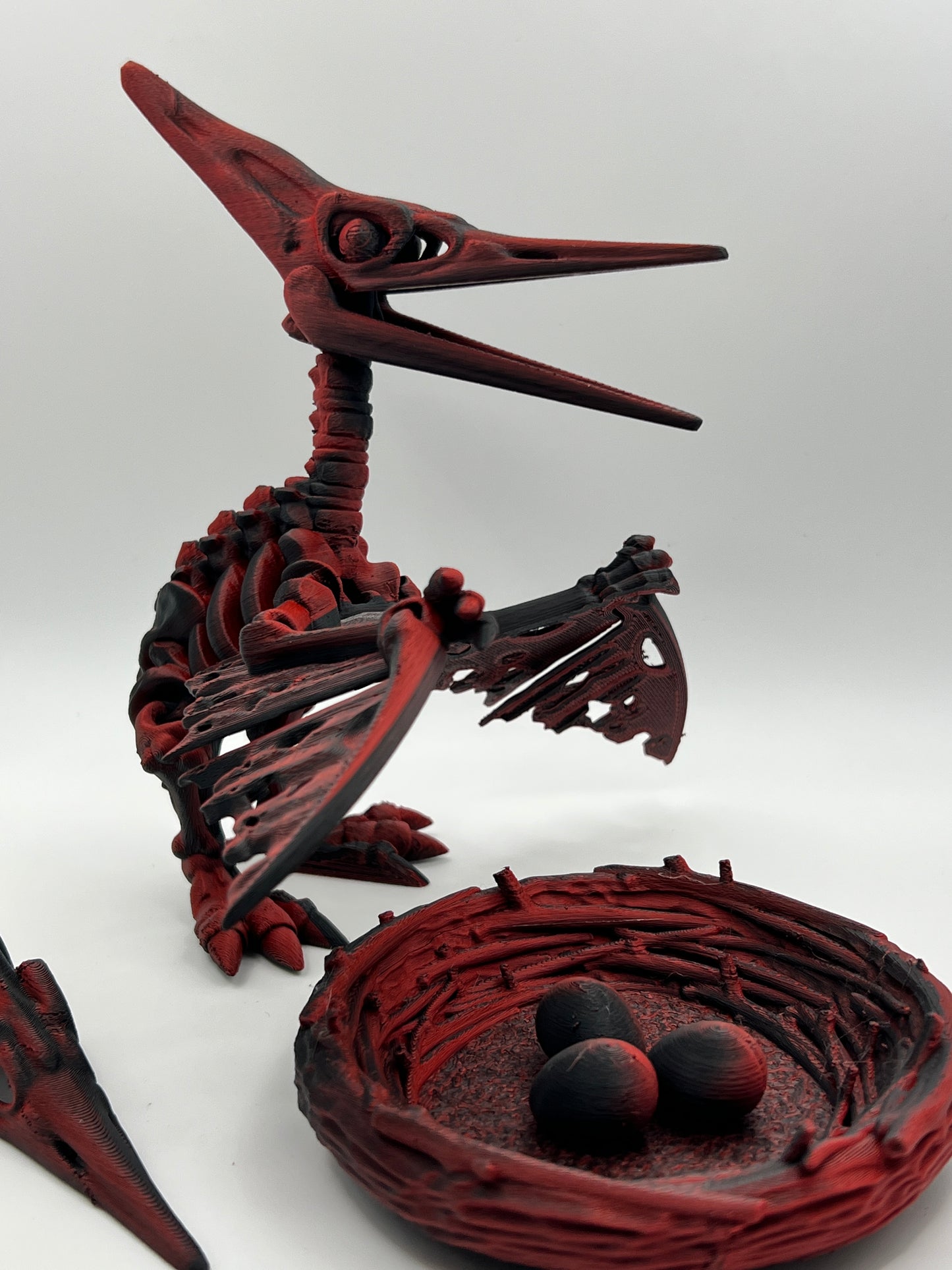 Skeleton Pteranodon