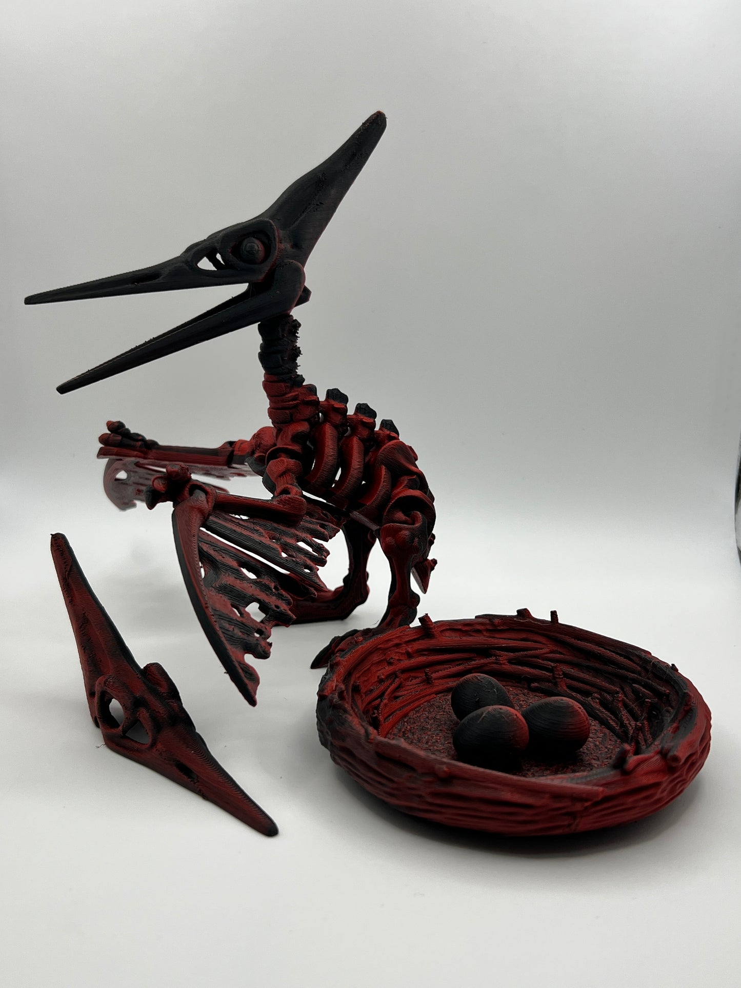 Skeleton Pteranodon