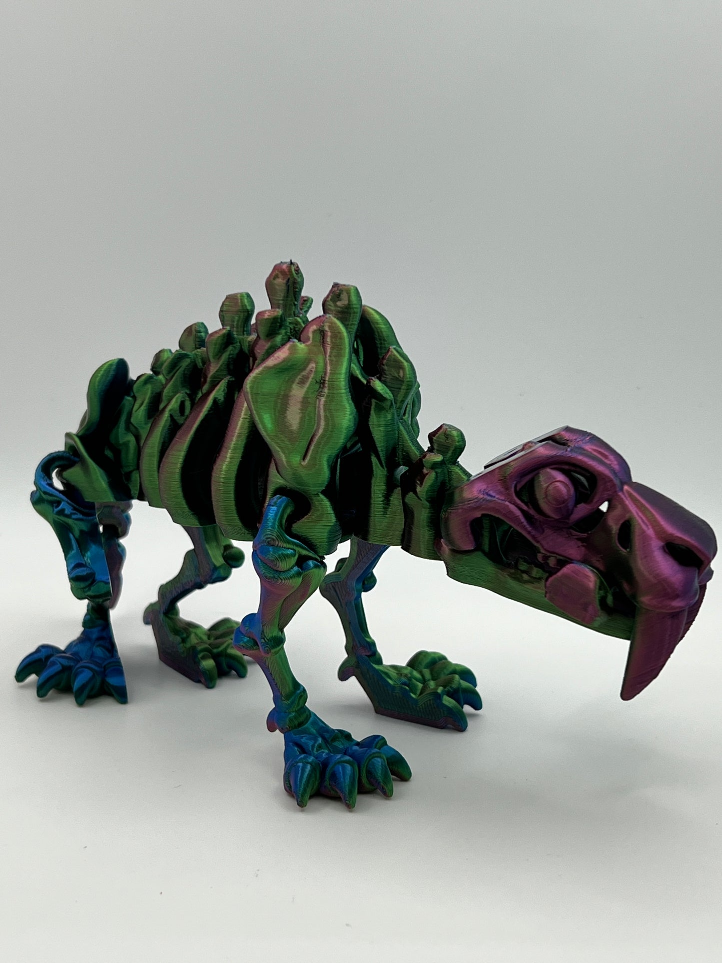 Skeleton Sabertooth
