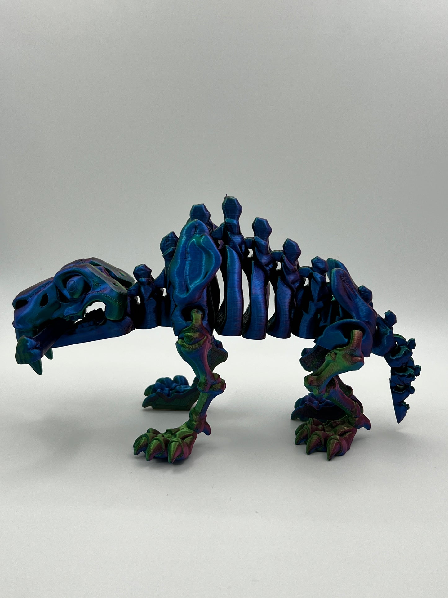 Skeleton Sabertooth