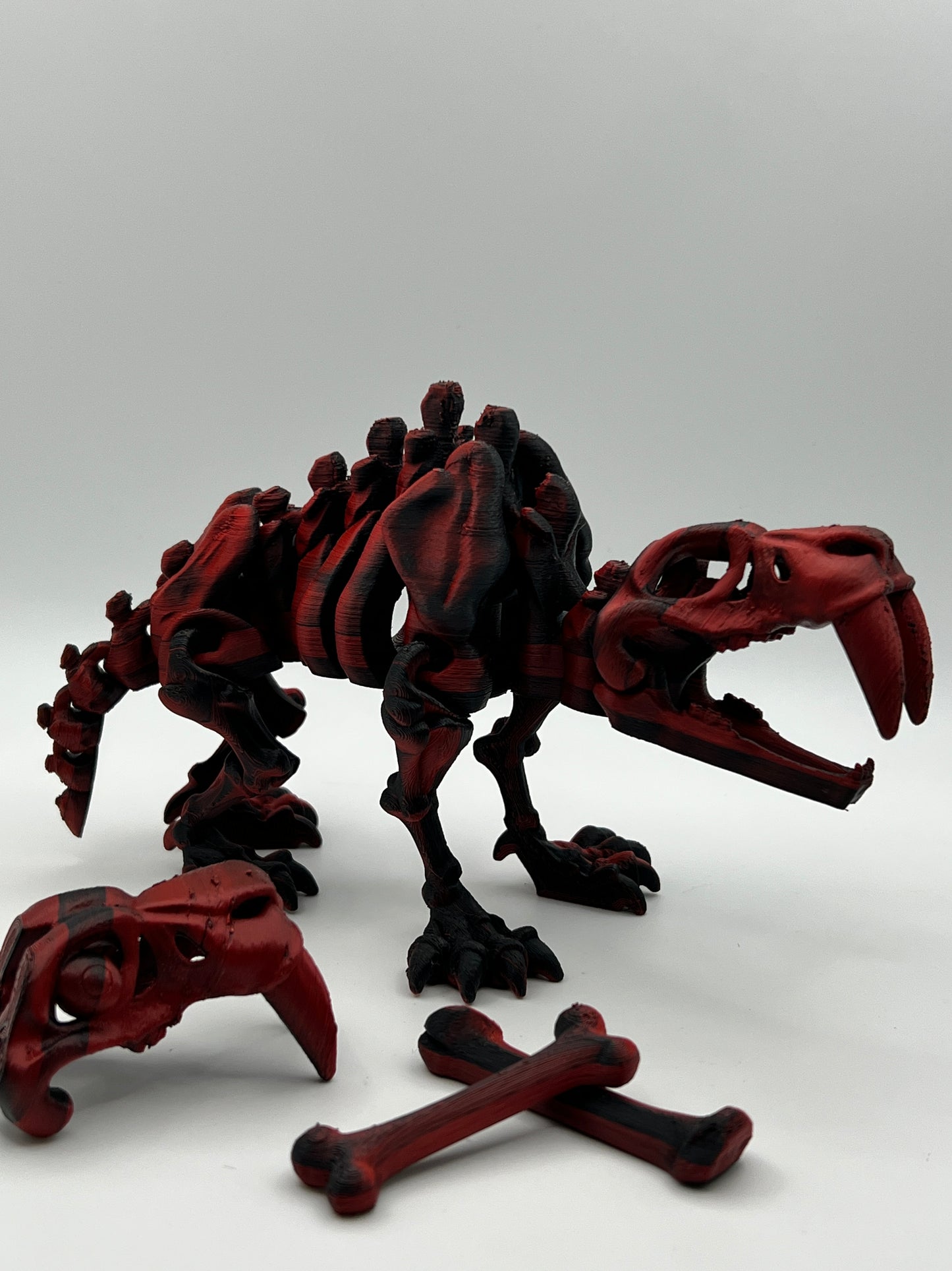 Skeleton Sabertooth