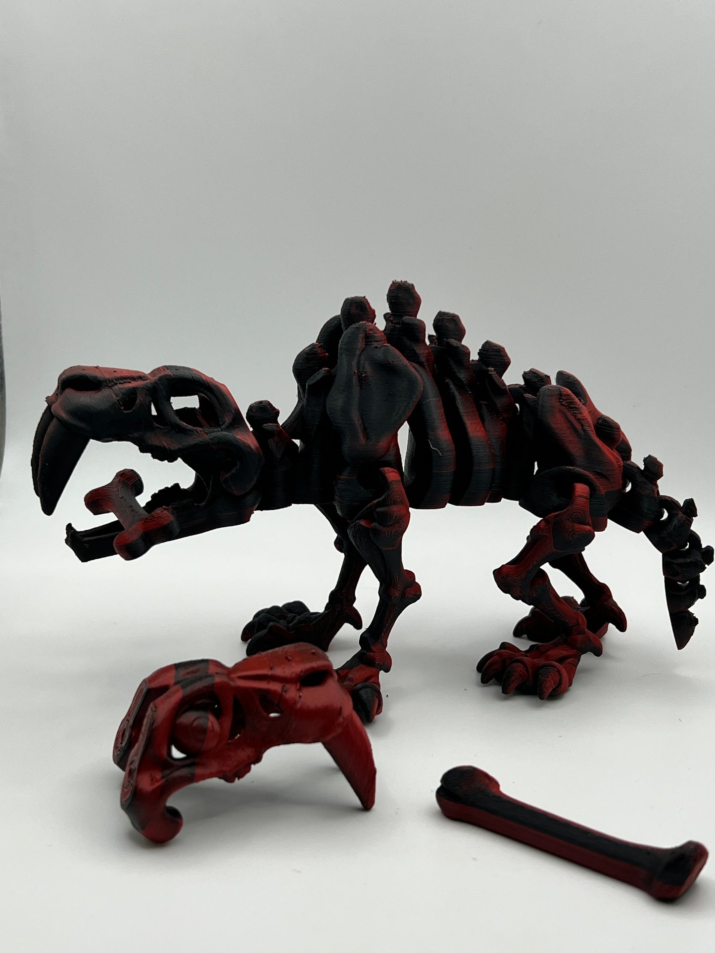 Skeleton Sabertooth