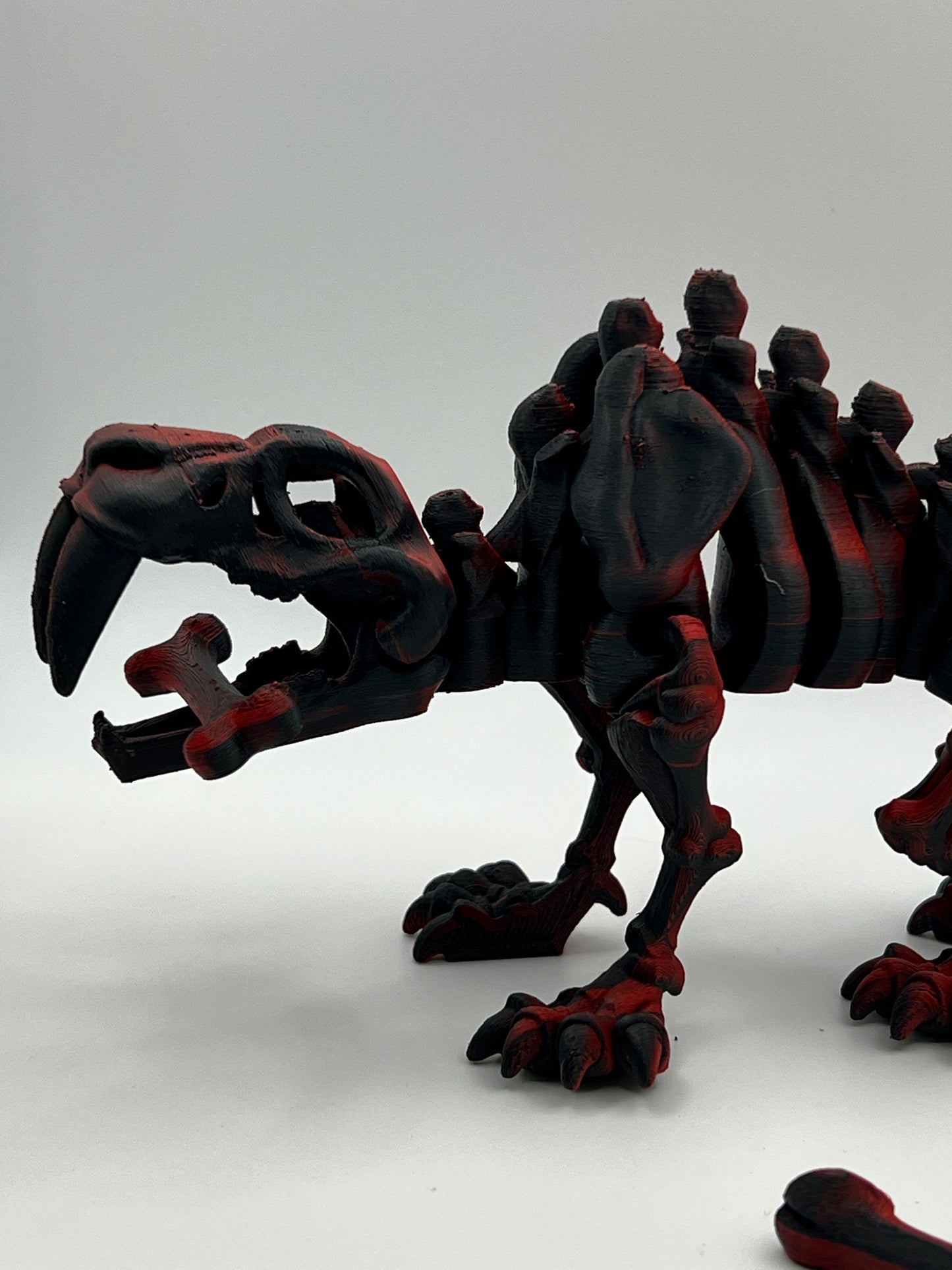 Skeleton Sabertooth