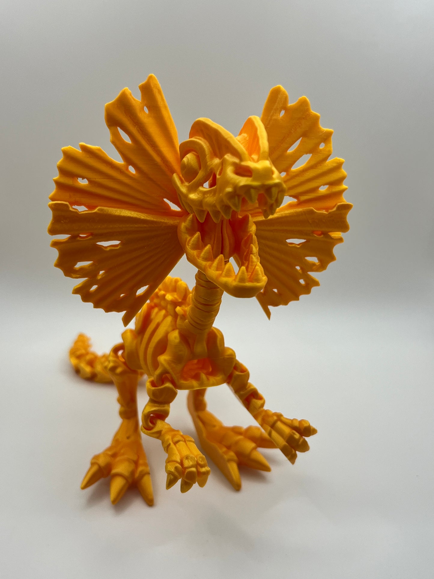 Skeleton Dilophosaurus