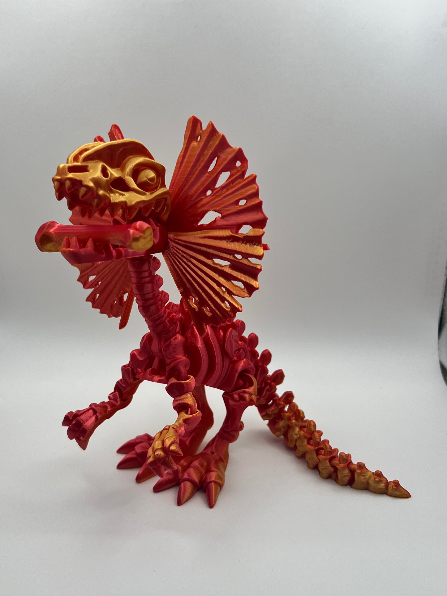 Skeleton Dilophosaurus
