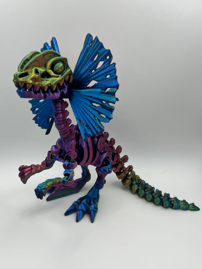 Skeleton Dilophosaurus