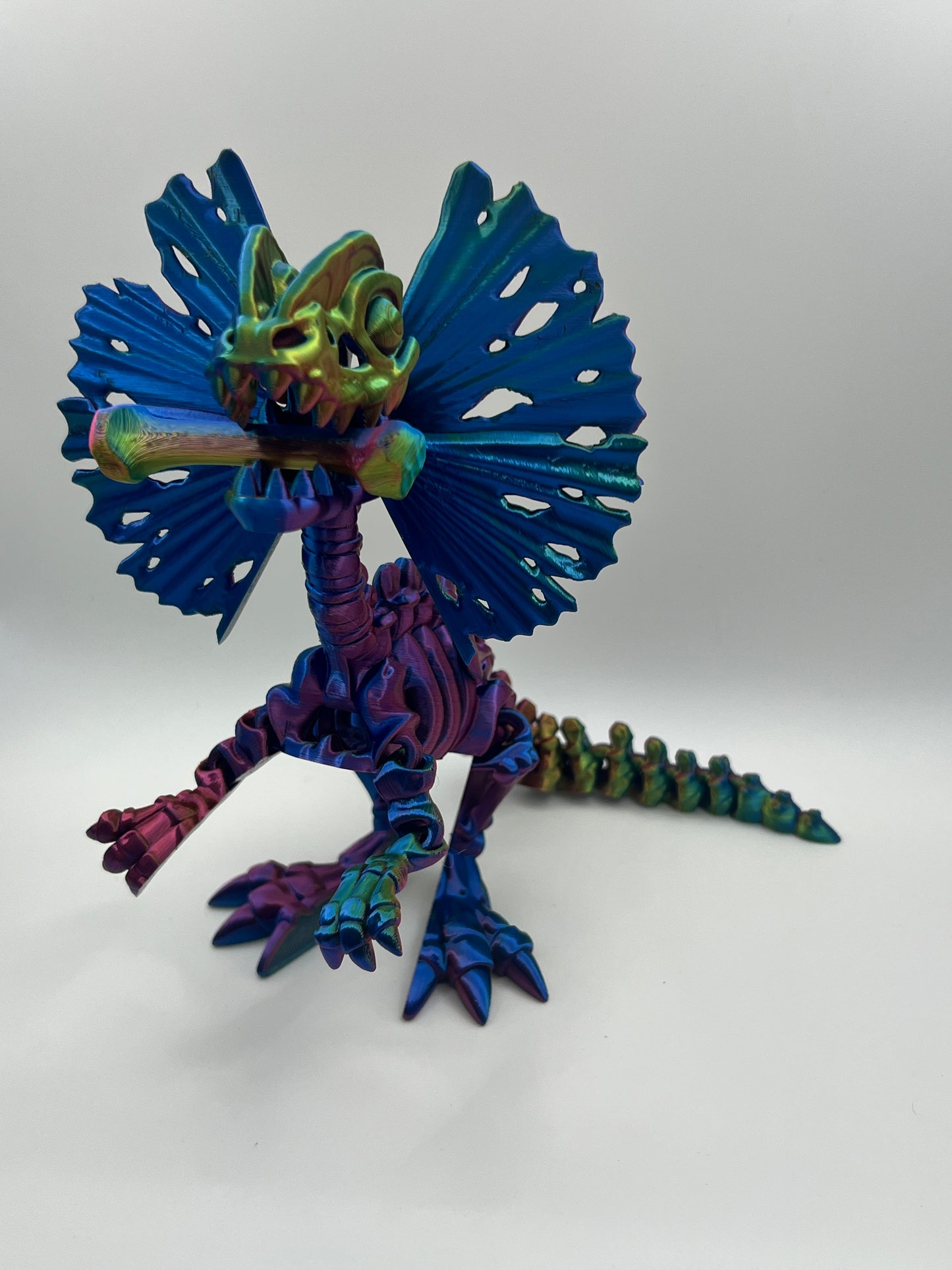 Skeleton Dilophosaurus