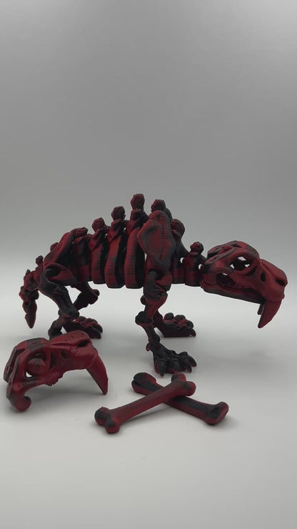Skeleton Sabertooth