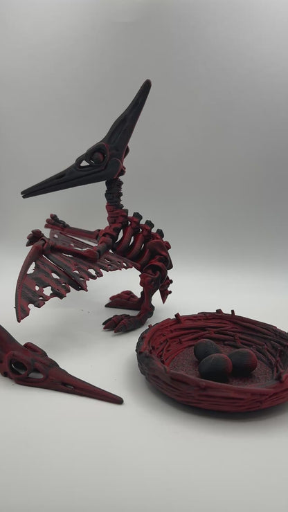 Skeleton Pteranodon