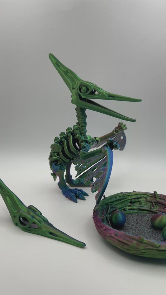 Skeleton Pteranodon